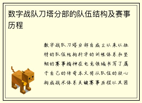 数字战队刀塔分部的队伍结构及赛事历程