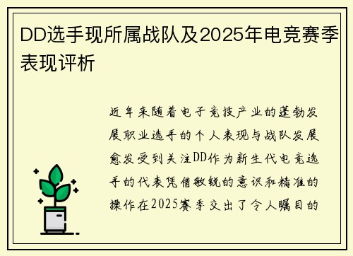 DD选手现所属战队及2025年电竞赛季表现评析